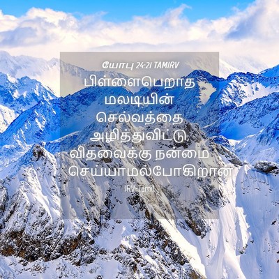 Picture 04 - யோபு 24:21 TAMIRV - பிள்ளைபெறாத - Bible Verse Picture