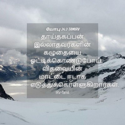 Picture 04 - யோபு 24:3 TAMIRV - தாய்தகப்பன் - Bible Verse Picture