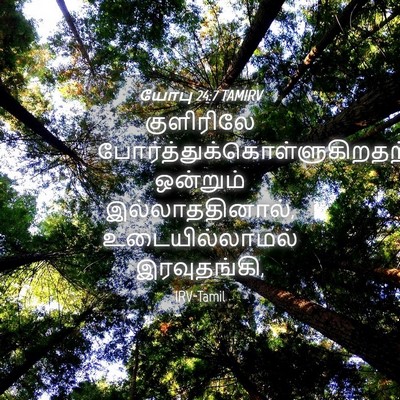 Picture 04 - யோபு 24:7 TAMIRV - குளிரிலே - Bible Verse Picture