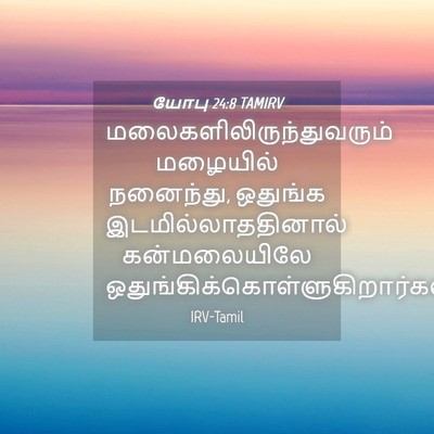 Picture 04 - யோபு 24:8 TAMIRV -  - Bible Verse Picture