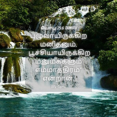 Picture 04 - யோபு 25:6 TAMIRV - புழுவாயிருக்கிற - Bible Verse Picture