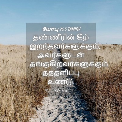 Picture 04 - யோபு 26:5 TAMIRV - தண்ணீரின் கீழ் - Bible Verse Picture