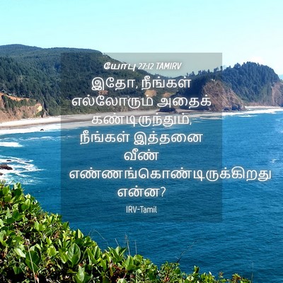 Picture 04 - யோபு 27:12 TAMIRV - இதோ, நீங்கள் - Bible Verse Picture