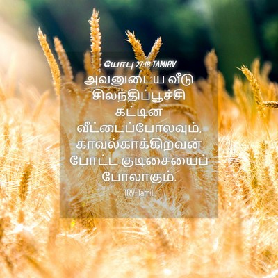 Picture 04 - யோபு 27:18 TAMIRV - அவனுடைய வீடு - Bible Verse Picture