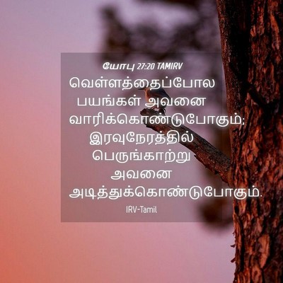Picture 04 - யோபு 27:20 TAMIRV - வெள்ளத்தைப்போல - Bible Verse Picture