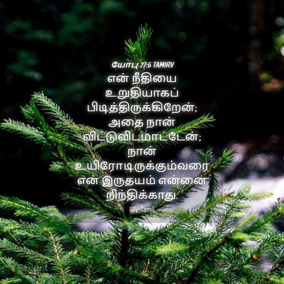 Picture 04 - யோபு 27:6 TAMIRV - என் நீதியை - Bible Verse Picture