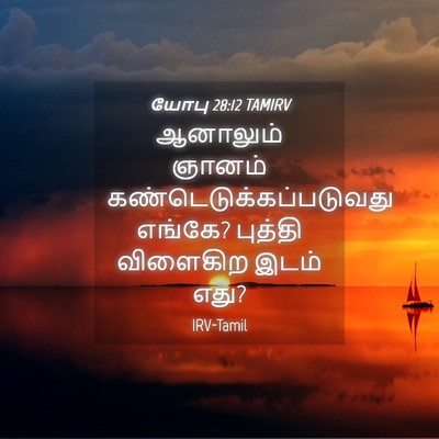 Picture 04 - யோபு 28:12 TAMIRV - ஆனாலும் ஞானம் - Bible Verse Picture