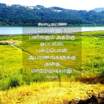 Picture 04 - யோபு 28:17 TAMIRV - பொன்னும் - Bible Verse Picture