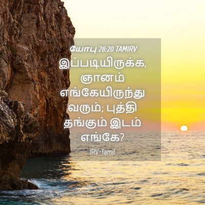 Picture 04 - யோபு 28:20 TAMIRV - இப்படியிருக்க, - Bible Verse Picture