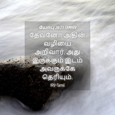Picture 04 - யோபு 28:23 TAMIRV - தேவனோ அதின் வழியை - Bible Verse Picture