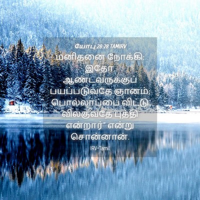 Picture 04 - யோபு 28:28 TAMIRV - மனிதனை நோக்கி: இதோ, - Bible Verse Picture