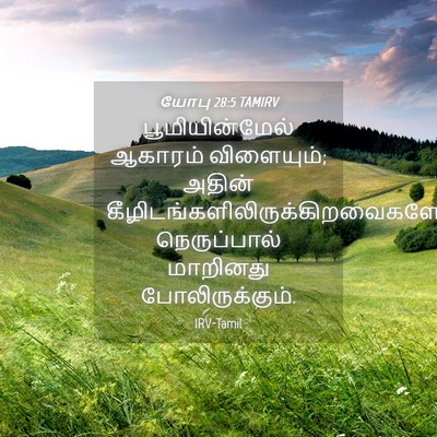 Picture 04 - யோபு 28:5 TAMIRV - பூமியின்மேல் - Bible Verse Picture