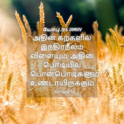 Picture 04 - யோபு 28:6 TAMIRV - அதின் கற்களில் - Bible Verse Picture
