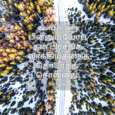 Picture 04 - யோபு 29:1 TAMIRV - பின்னும் யோபு தன் - Bible Verse Picture