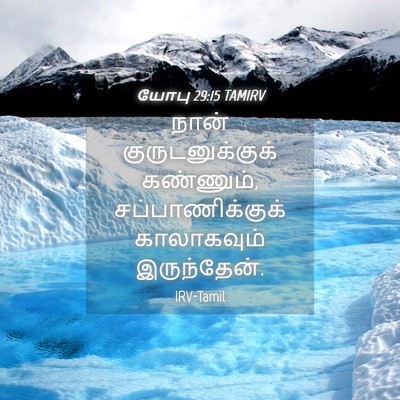 Picture 04 - யோபு 29:15 TAMIRV - நான் - Bible Verse Picture