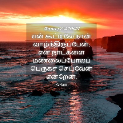 Picture 04 - யோபு 29:18 TAMIRV - என் கூட்டிலே நான் - Bible Verse Picture