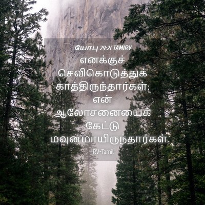 Picture 04 - யோபு 29:21 TAMIRV - எனக்குச் - Bible Verse Picture