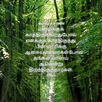 Picture 04 - யோபு 29:23 TAMIRV - மழைக்குக் - Bible Verse Picture