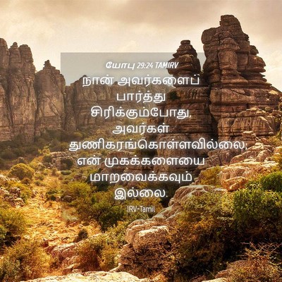 Picture 04 - யோபு 29:24 TAMIRV - நான் அவர்களைப் - Bible Verse Picture