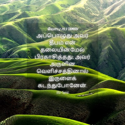 Picture 04 - யோபு 29:3 TAMIRV - அப்பொழுது அவர் - Bible Verse Picture