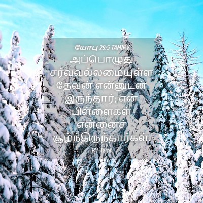 Picture 04 - யோபு 29:5 TAMIRV - அப்பொழுது - Bible Verse Picture