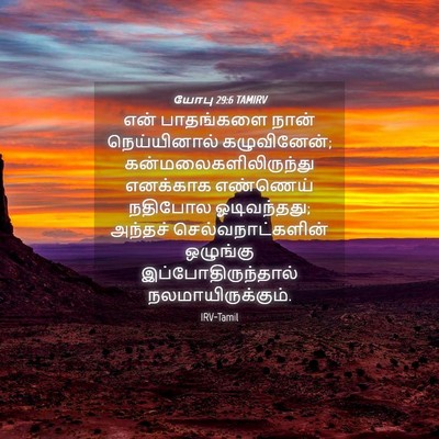 Picture 04 - யோபு 29:6 TAMIRV - என் பாதங்களை நான் - Bible Verse Picture