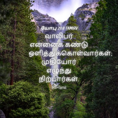 Picture 04 - யோபு 29:8 TAMIRV - வாலிபர் என்னைக் - Bible Verse Picture
