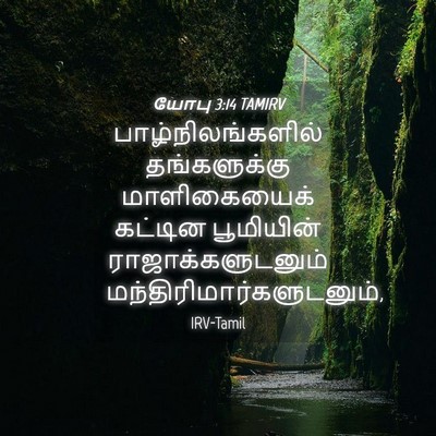 Picture 04 - யோபு 3:14 TAMIRV - பாழ்நிலங்களில் - Bible Verse Picture