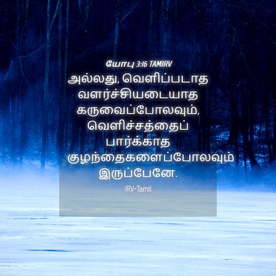 Picture 04 - யோபு 3:16 TAMIRV - அல்லது, - Bible Verse Picture