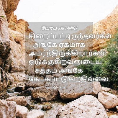 Picture 04 - யோபு 3:18 TAMIRV -  - Bible Verse Picture