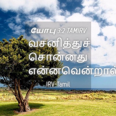 Picture 04 - யோபு 3:2 TAMIRV - வசனித்துச் - Bible Verse Picture