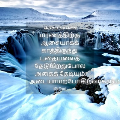 Picture 04 - யோபு 3:20 TAMIRV - மரணத்திற்கு - Bible Verse Picture