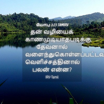 Picture 04 - யோபு 3:23 TAMIRV - தன் வழியைக் - Bible Verse Picture