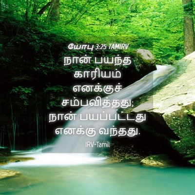 Picture 04 - யோபு 3:25 TAMIRV - நான் பயந்த - Bible Verse Picture