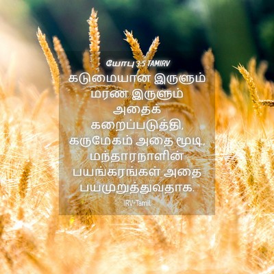 Picture 04 - யோபு 3:5 TAMIRV - கடுமையான இருளும் - Bible Verse Picture