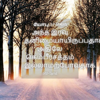Picture 04 - யோபு 3:7 TAMIRV - அந்த இரவு - Bible Verse Picture