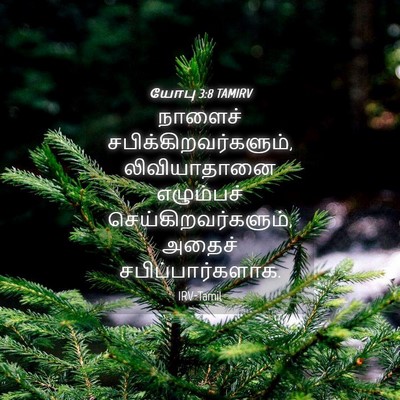 Picture 04 - யோபு 3:8 TAMIRV - நாளைச் - Bible Verse Picture