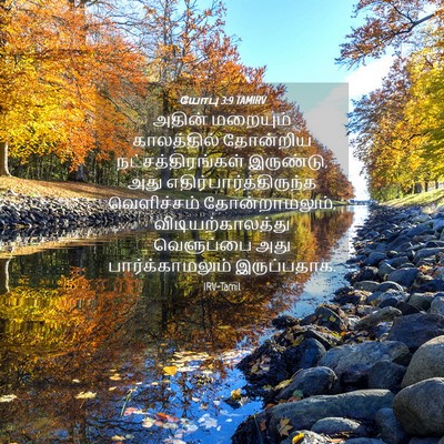 Picture 04 - யோபு 3:9 TAMIRV - அதின் மறையும் - Bible Verse Picture