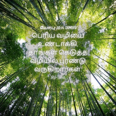 Picture 04 - யோபு 30:14 TAMIRV - பெரிய வழியை - Bible Verse Picture