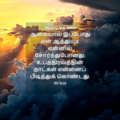 Picture 04 - யோபு 30:16 TAMIRV - ஆகையால் இப்போது - Bible Verse Picture