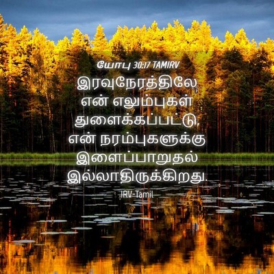 Picture 04 - யோபு 30:17 TAMIRV - இரவுநேரத்திலே என் - Bible Verse Picture