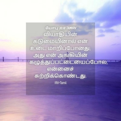 Picture 04 - யோபு 30:18 TAMIRV - வியாதியின் - Bible Verse Picture