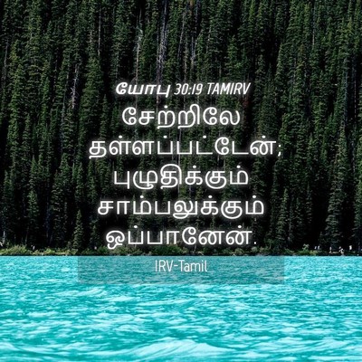 Picture 04 - யோபு 30:19 TAMIRV - சேற்றிலே - Bible Verse Picture
