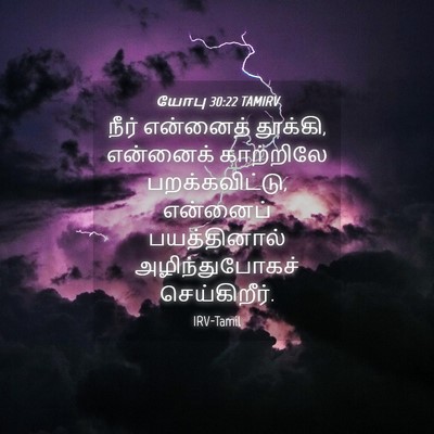 Picture 04 - யோபு 30:22 TAMIRV - நீர் என்னைத் - Bible Verse Picture