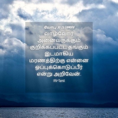 Picture 04 - யோபு 30:23 TAMIRV - வாழ்வோர் - Bible Verse Picture