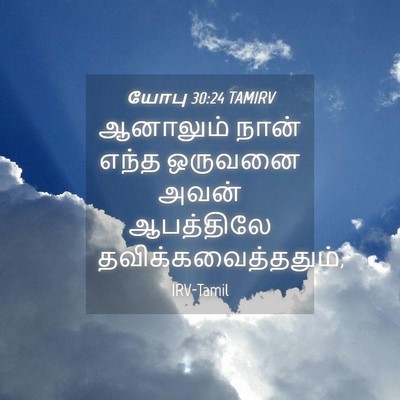 Picture 04 - யோபு 30:24 TAMIRV - ஆனாலும் நான் எந்த - Bible Verse Picture