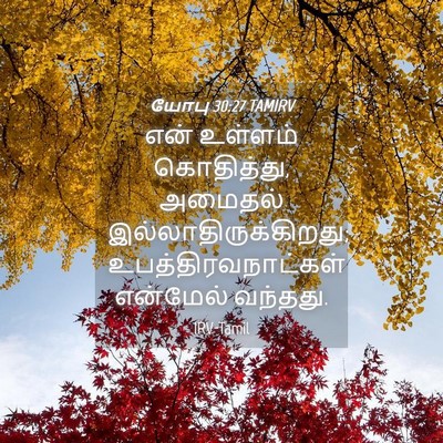Picture 04 - யோபு 30:27 TAMIRV - என் உள்ளம் - Bible Verse Picture