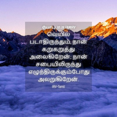 Picture 04 - யோபு 30:28 TAMIRV - வெயில் - Bible Verse Picture