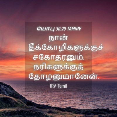 Picture 04 - யோபு 30:29 TAMIRV - நான் - Bible Verse Picture