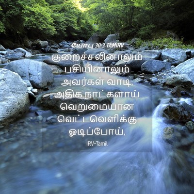 Picture 04 - யோபு 30:3 TAMIRV - குறைச்சலினாலும் - Bible Verse Picture